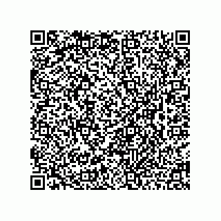 vCard 78463099627
