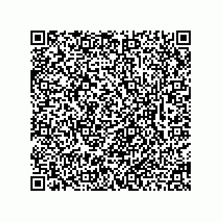 vCard 78463310039