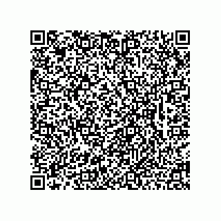 vCard 78463310103