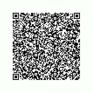 vCard 78463310173