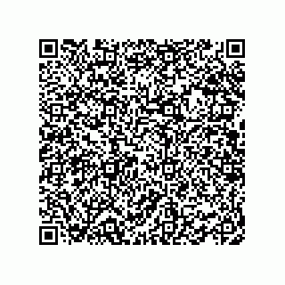 vCard 78463310199