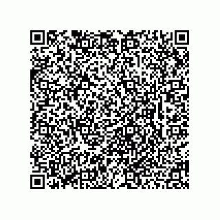 vCard 78463310277