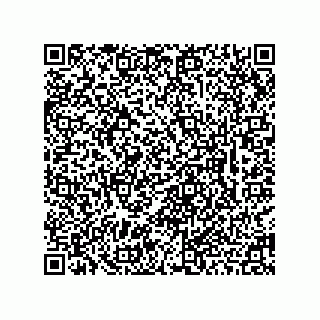 vCard 78463310278