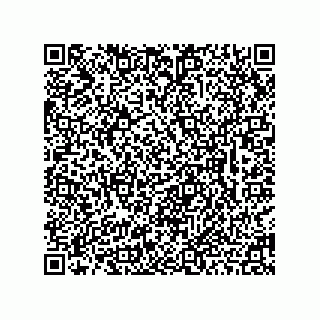 vCard 78463310281