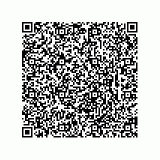vCard 78463310373