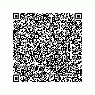 vCard 78463310390