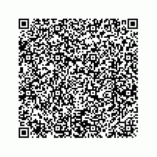 vCard 78463530031