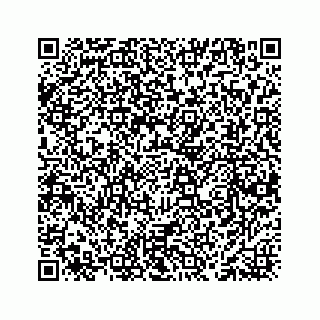 vCard 78463535936