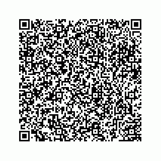 vCard 78463535981