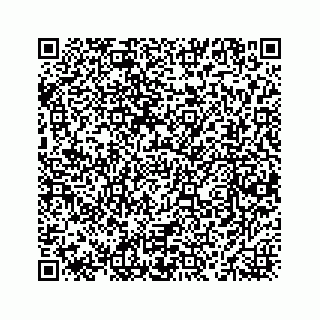 vCard 78463536003