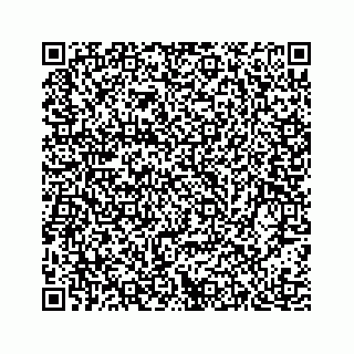 vCard 78463536013