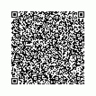 vCard 78463536079