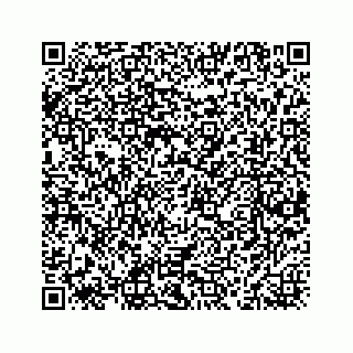 vCard 78463536081