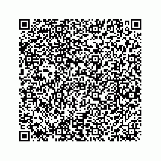 vCard 78463536100