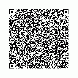vCard 78463536208