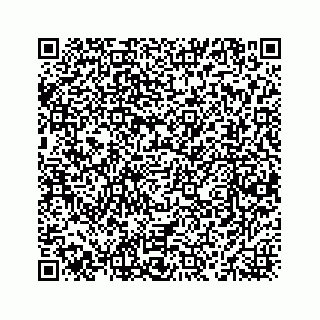 vCard 78463536209