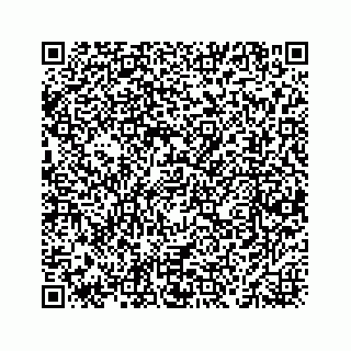 vCard 78463536221