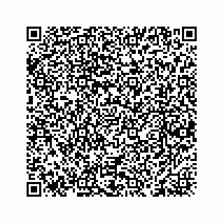 vCard 78463536271