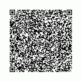 vCard 78463536295