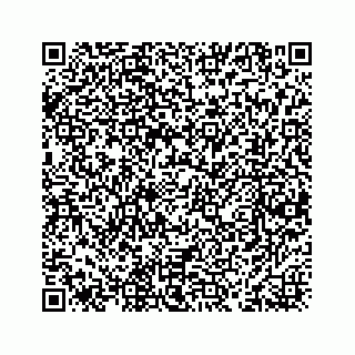vCard 78463536297