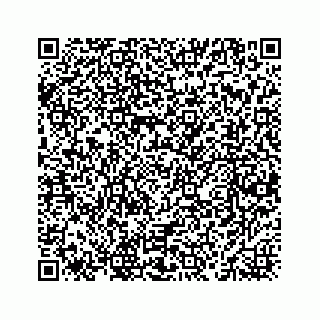 vCard 78463536329