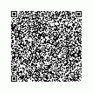 vCard 78463536387