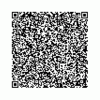 vCard 78463579311