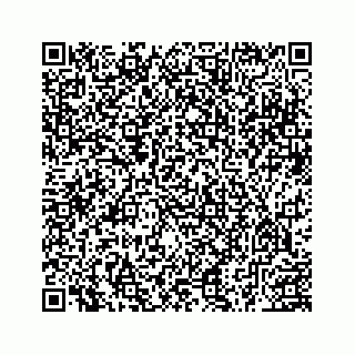 vCard 78463579315