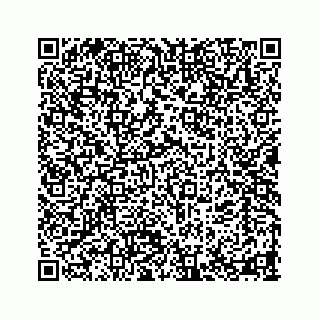 vCard 78463579395