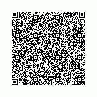 vCard 78463579399