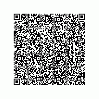 vCard 78463726291
