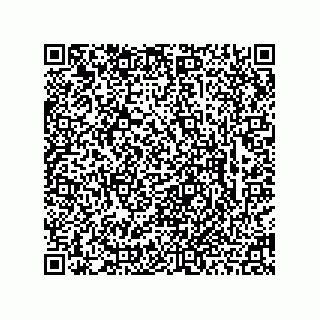 vCard 78463726377