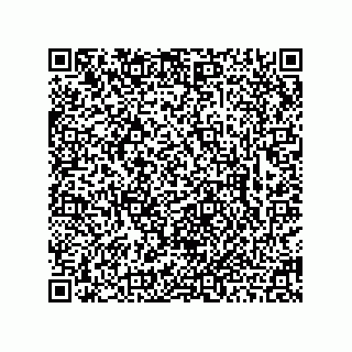 vCard 78463726479