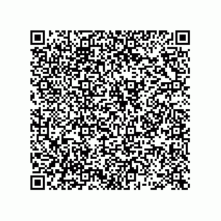vCard 78463726619