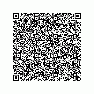 vCard 78463735207