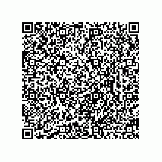 vCard 78463735249