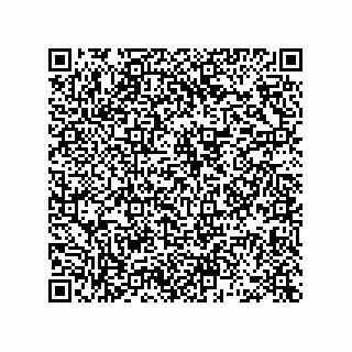 vCard 78463735297