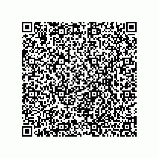 vCard 78463740003