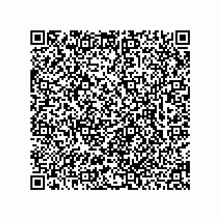 vCard 78463740010