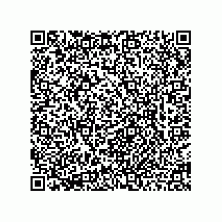vCard 78463740045