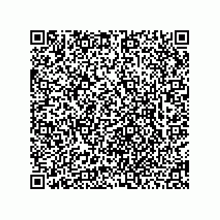 vCard 78463740062