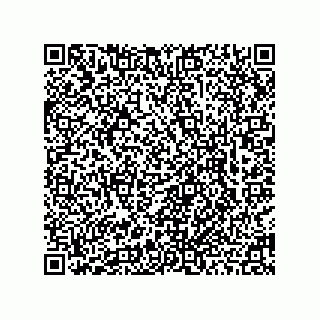 vCard 78463740066
