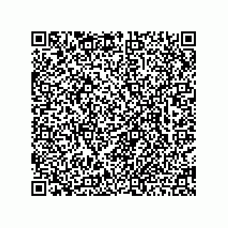 vCard 78463740080