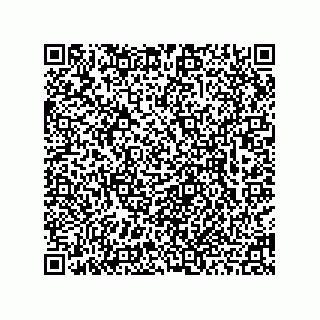 vCard 78463740081