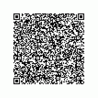 vCard 78463740103