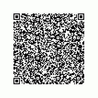 vCard 78463740111
