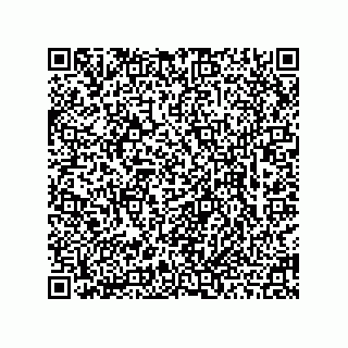 vCard 78463740113