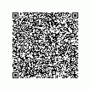 vCard 78463740138