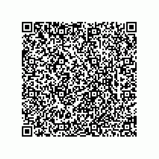 vCard 78463740161