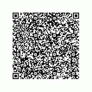 vCard 78463740171
